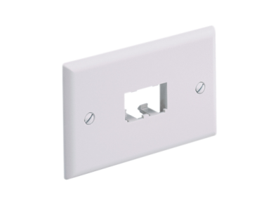 Panduit Mini-com placca a 2 spazi CFPH2IW